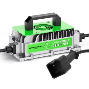 Yamaha G29 Lithium Battery Charger 48 Volt/58.4V 18A for  LiFePO4 Battery 