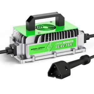 EZGO RXV & TXT Lithium Battery Charger 48 Volt/58.4V 18A for  LiFePO4 Battery 